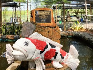 Read more about the article Water Park Tembalang Asri Hadirkan Sensasi Terapi Ikan